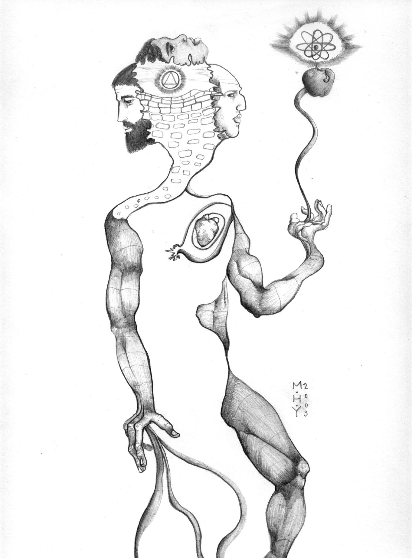 Fossil - Graphite Drawing